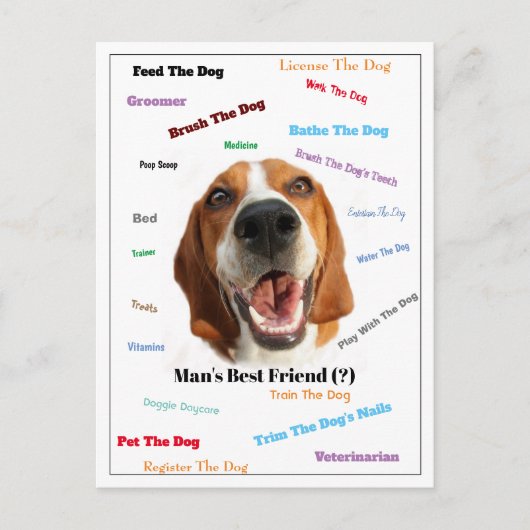 男の最高の友人(?) ポストカード (正面)