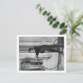 男の格好をした女性 ポストカード (スタンド正面)