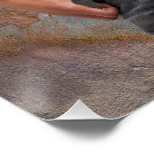 男の裸の胸写真 ポスター (コーナー)