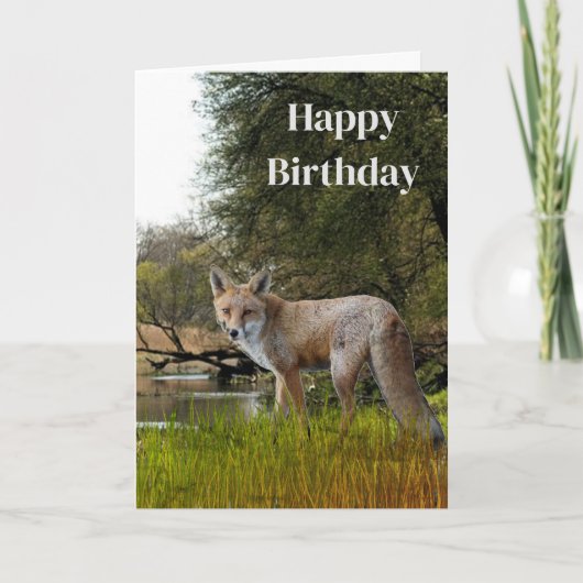 男の誕生日 赤いキツネ 野生と自然 カード (正面)