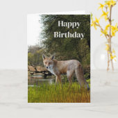 男の誕生日 赤いキツネ 野生と自然 カード (黄色い花)