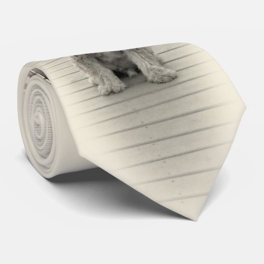 男の賭けの友 ネクタイ (ロール)