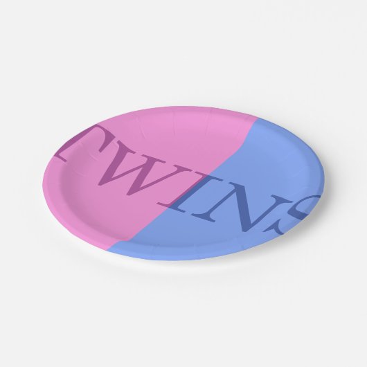 男の赤ちゃんおよび女の子の二卵性双生児の紙皿 ペーパープレート (アングル)