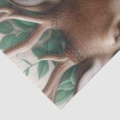 男の赤ちゃんと森林動物の眠るティッシュペーパー 薄葉紙 (詳細)