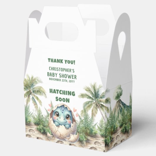 男の赤ちゃんのハッチングすぐに優先ボックス フェイバーボックス (オープン)