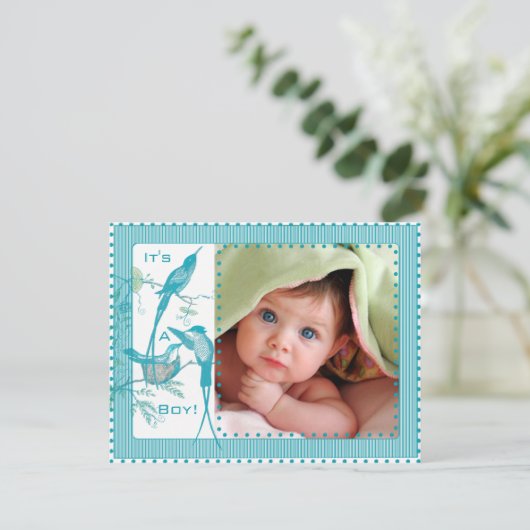 男の赤ちゃんアクアヴィンテージバード写真発表 案内状 (スタンド正面)