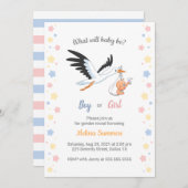 男の赤ちゃんガールストークジェンダーリビールパーティの招待状 招待状 (正面/裏面)