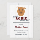 男の赤ちゃんドッグマルーンベビー 案内状 (正面)