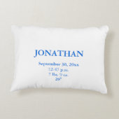 男の赤ちゃんブルーラトル誕生統計 アクセントクッション (裏面)