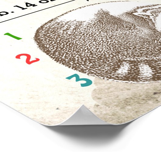 男の赤ちゃん誕生統計かわいいアライグマと矢印 ポスター (角)