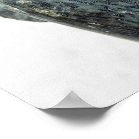 男の頭 ポスター (角)