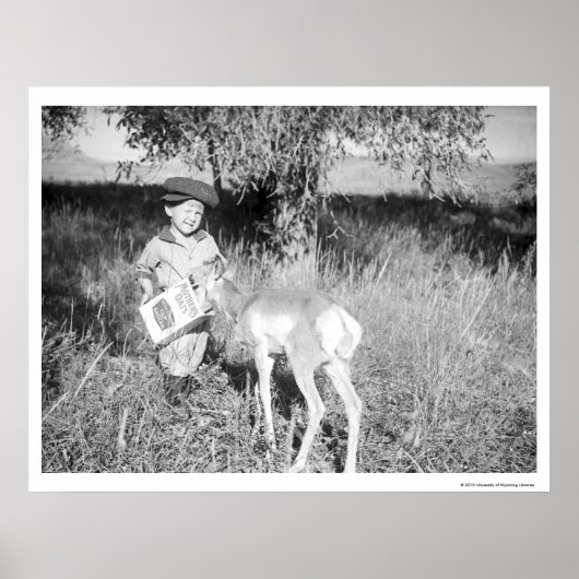 男の食べ物を与え子のカモシカ ポスター (正面)