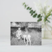 男の食べ物を与え子のカモシカ ポストカード (スタンド正面)