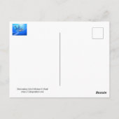 『男の魚』 ポストカード (裏面)