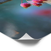 男の（鳥）ショウジョウコウカンチョウと月明かりのさくらんぼの花 ポスター (コーナー)