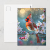 男の（鳥）ショウジョウコウカンチョウと月明かりのさくらんぼの花 ポストカード (正面/裏面)