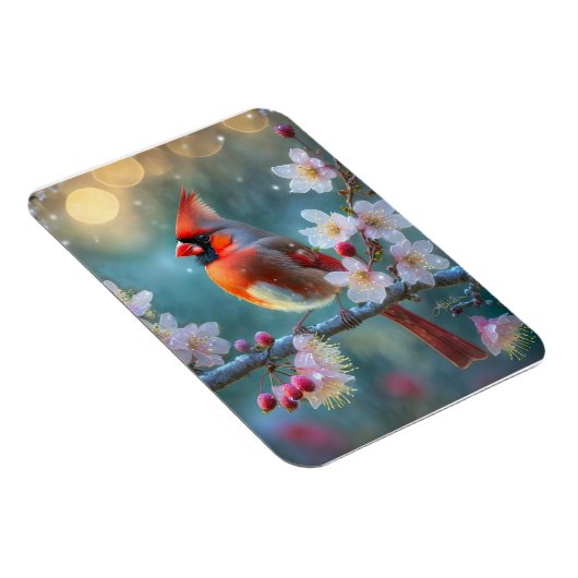 男の(鳥)ショウジョウコウカンチョウと月明かりのさくらんぼの花 マグネット (右側)