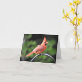 男の(鳥)ショウジョウコウカンチョウストップは中で彼を言うこ空白のとだ カード (黄色い花)