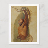 男はボア収縮と格闘し、勉強' ポストカード (正面)