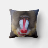 男らしいMandrill クッション (裏面)