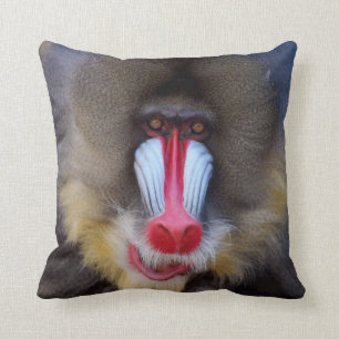 男らしいMandrill クッション
