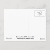 男らし感覚性#2 ポストカード (裏面)