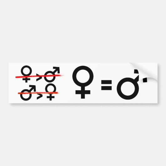 男女の平等-女性は人と等しいです -- Femini バンパーステッカー (正面)