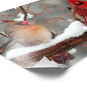 男女の深紅色 フォトプリント            (角)