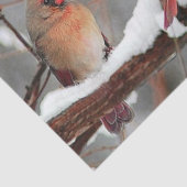 男女の深紅色 薄葉紙 (詳細)