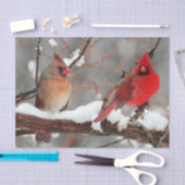 男女の深紅色 薄葉紙 (クラフト)