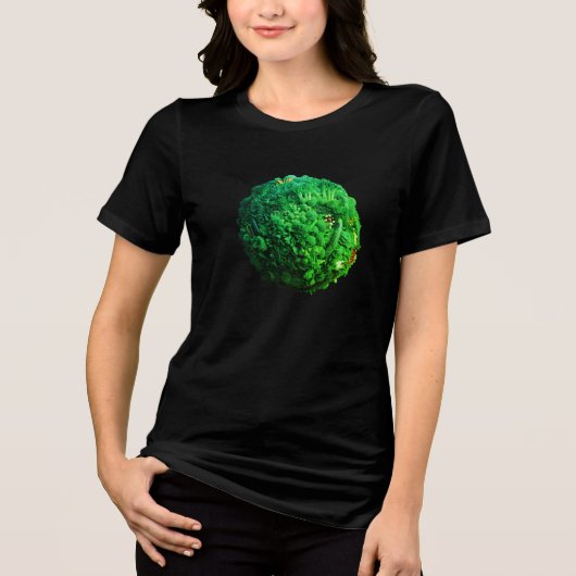 男女兼用半袖のヴィーガン地球Tシャツ トライブレンドＴシャツ (正面)