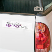 男女同権主義者は同類を見ます バンパーステッカー (トラック上)