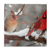 男女深紅色 タイル (正面)