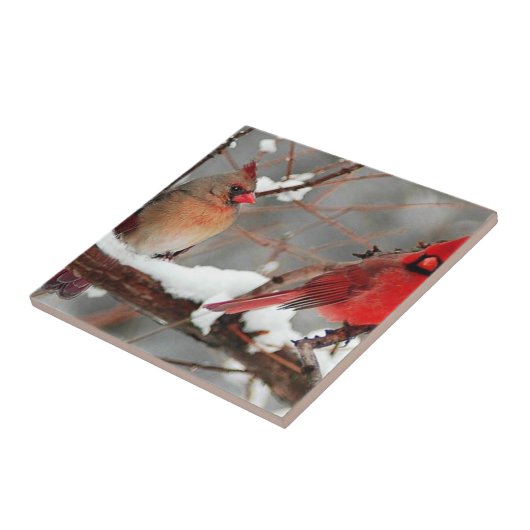 男女深紅色 タイル (側面)