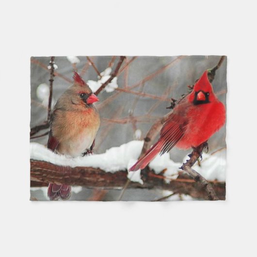 男女深紅色 フリースブランケット (正面(横))