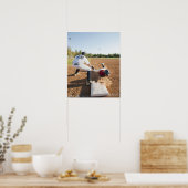 男子(10-11)遊野球 ポスター (キッチン)