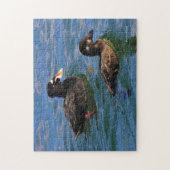 男性と女性のサーフスクーターが桟橋でアヒル ジグソーパズル (縦)