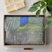 男性のインドの孔雀ファンそれは尾羽です 薄葉紙 (ギフト)