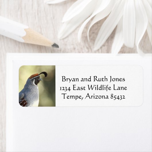 男性のウズラ ラベル (インサイチュ)