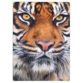 男性のシベリアトラのペンキの写真 クリップボード (裏面)