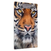 男性のシベリアトラのペンキの写真 クリップボード (右)