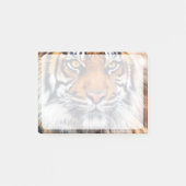 男性のシベリアトラのペンキの写真 ポストイット (正面)