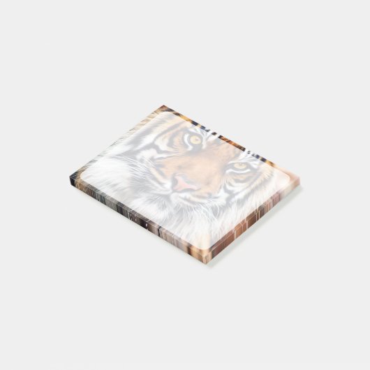 男性のシベリアトラのペンキの写真 ポストイット (アングル)