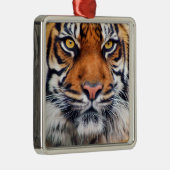 男性のシベリアトラのペンキの写真 メタルオーナメント (右)
