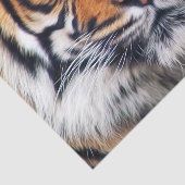 男性のシベリアトラのペンキの写真 薄葉紙 (詳細)