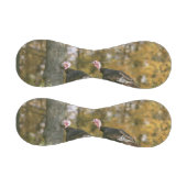 男性の七面鳥ペア写真秋 野球ボール (パネル)