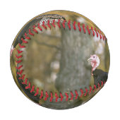 男性の七面鳥ペア写真秋 野球ボール (正面左)