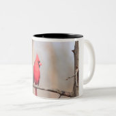 男性の北（鳥）ショウジョウコウカンチョウ ツートーンマグカップ (正面右)