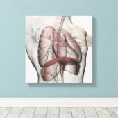 男性の呼吸器系の3次元像 キャンバスプリント (インサイチュ (ウッドフロア))