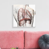 男性の呼吸器系の3次元像 キャンバスプリント (インサイチュ (リビング))